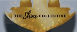 shinecollectiveinternship