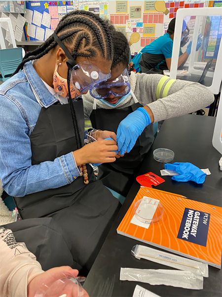 Students at Peshine Avenue School observing their discs to see if any bacteria has grown.  