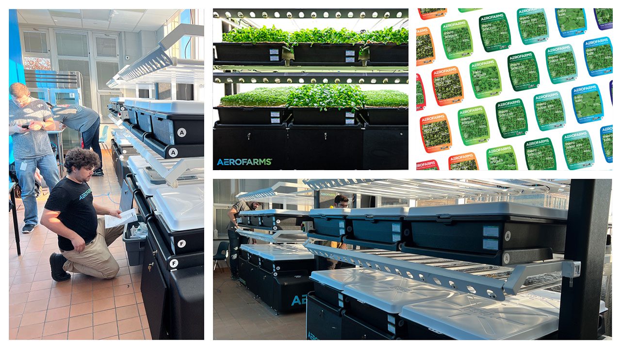 AeroFarms Team inspecting the installation of vertical farms in Central High School