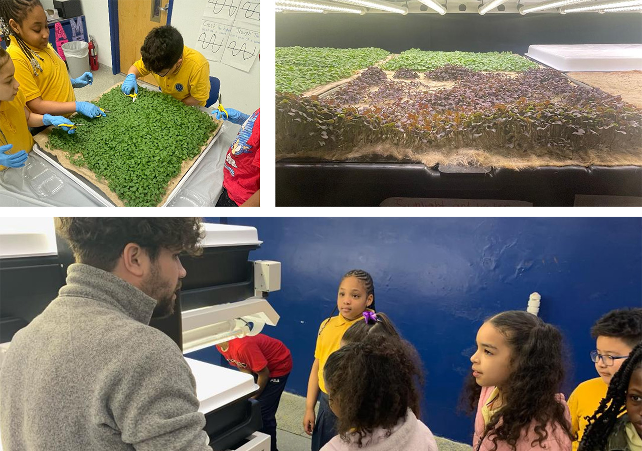 Students at Sir Isaac Newton Elementary School working in the Hydroponics Lab